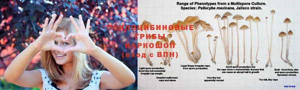 мескалин Новодвинск