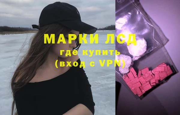 apvp Новозыбков