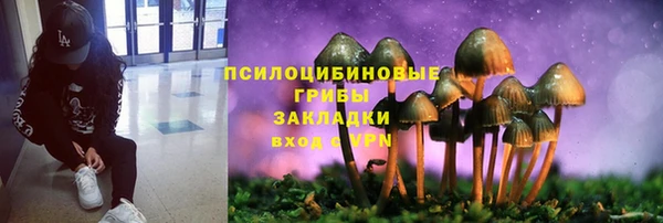 мескалин Новодвинск