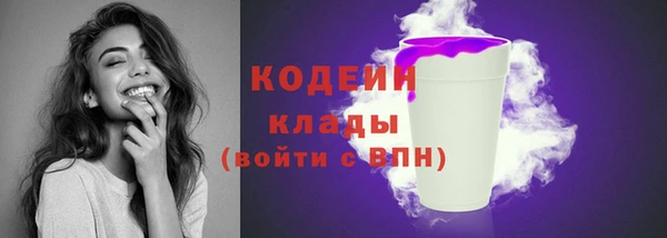 apvp Новозыбков