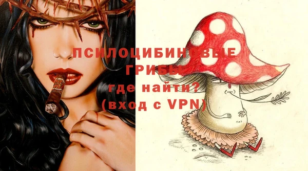 apvp Новозыбков