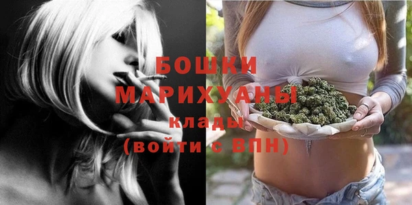apvp Новозыбков