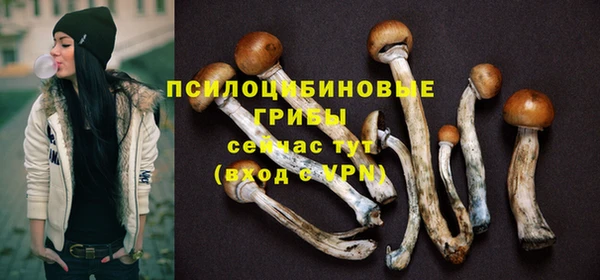 apvp Новозыбков