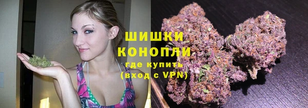 apvp Новозыбков